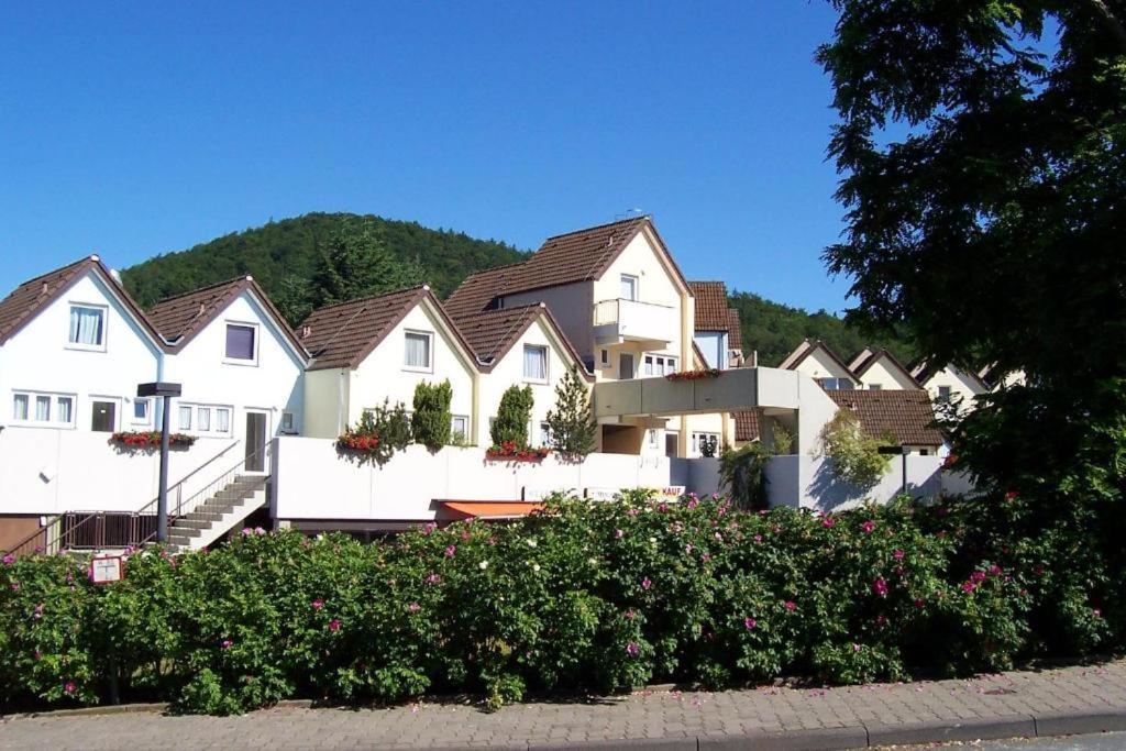 Helle 93m2 FeWo mit 2 Schlafzimmern am Edersee Scheid  Exterior foto